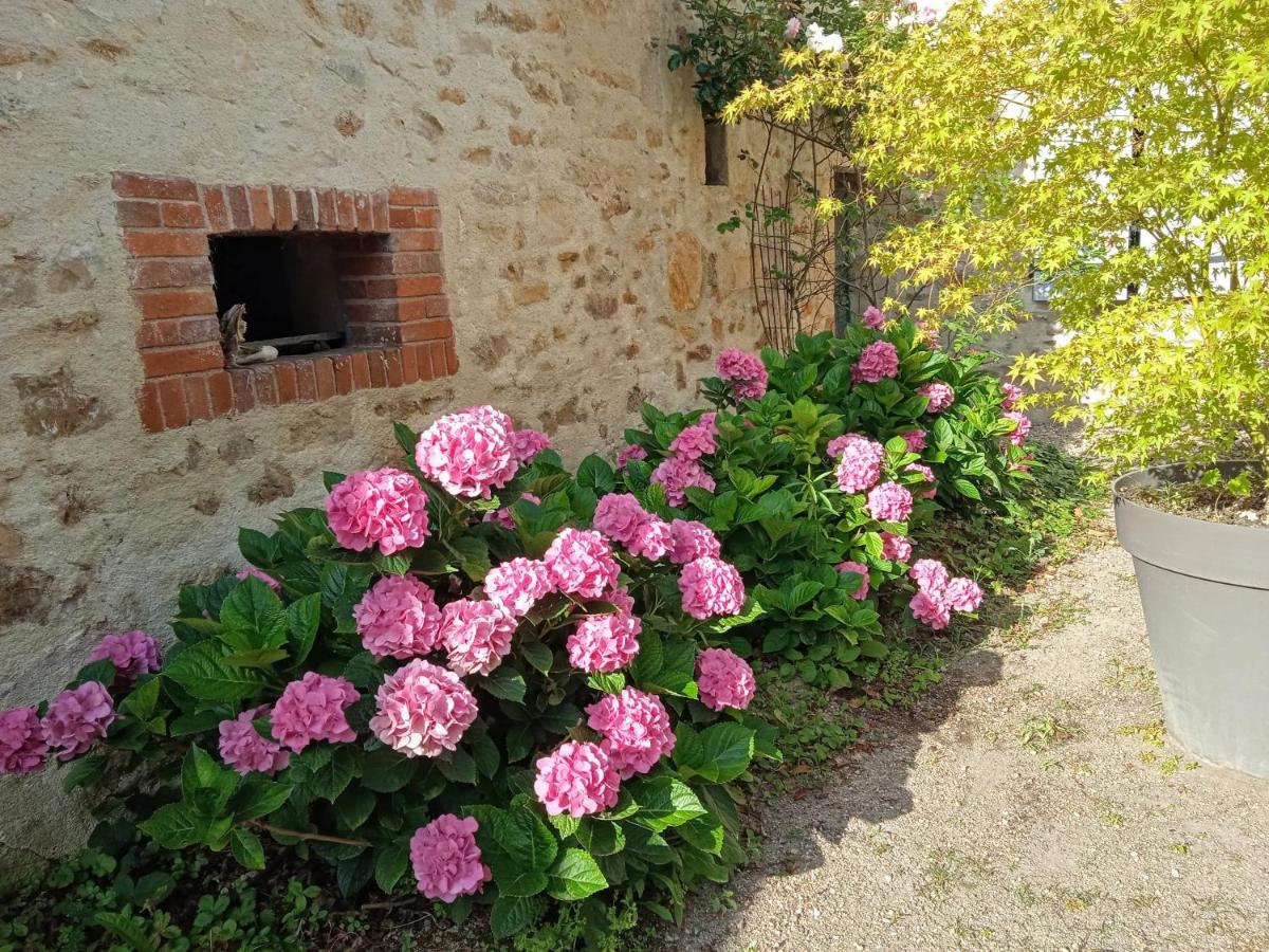 L'Amalgam' Bed & Breakfast Ainay-le-Vieil Eksteriør bilde